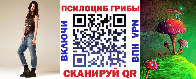 купить   KRAKEN как войти  Галлюциногенные грибы MAGIC MUSHROOMS  Новосиль 