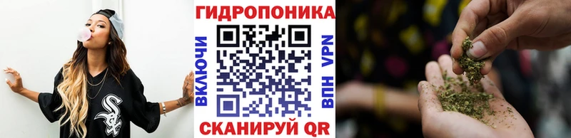 как найти наркотики  blacksprut как войти  Бошки марихуана OG Kush  Новосиль 